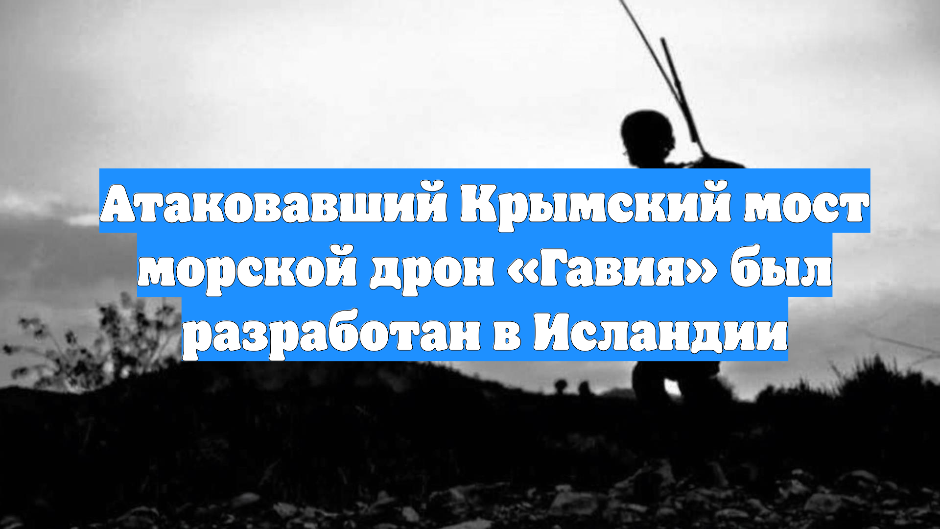 Атаковавший Крымский мост морской дрон «Гавия» был разработан в Исландии