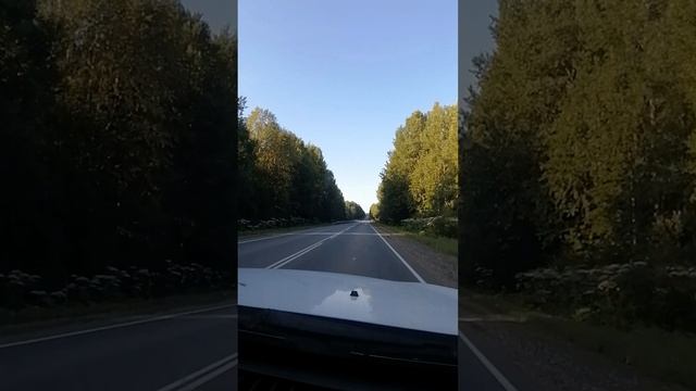 Проехали 7000 км🤪