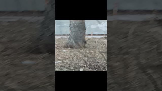 не боиться.mp4
