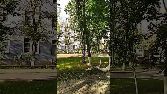 Клинический медицинский ЦЕНТР им Евдокимова | университетская клиника Кусково самая лучшая