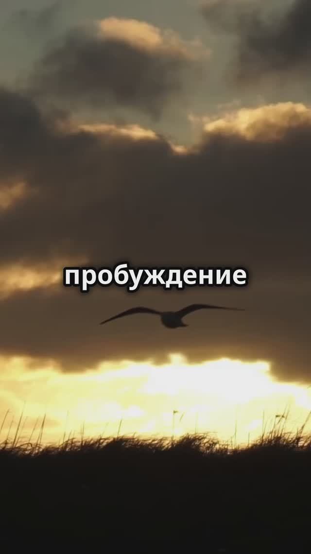 Как ранний подъем меняет жизнь