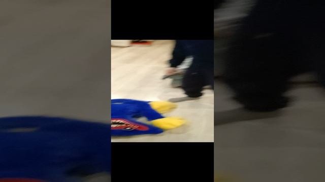 Светозар  против хагича