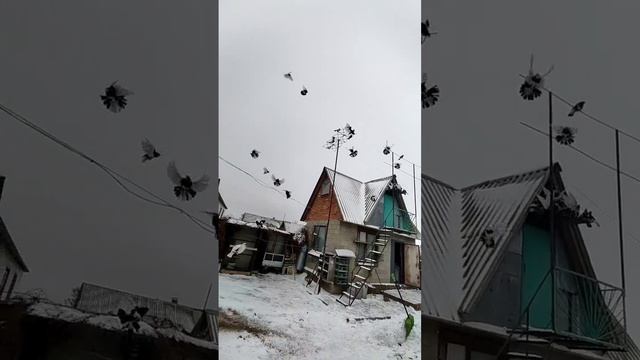 1000031191.mp4