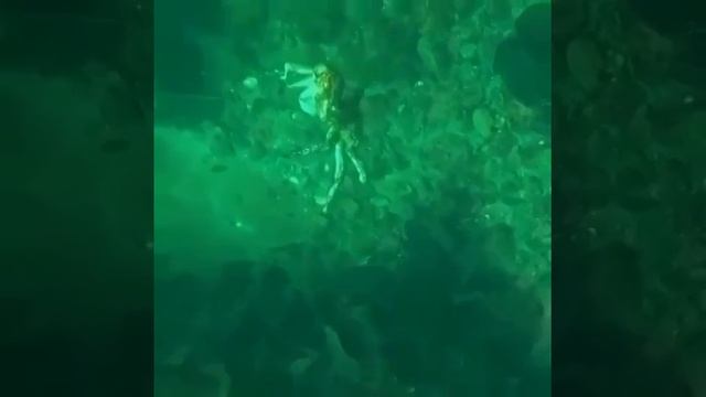 Сейчас бы такого монстра к новогоднему столу, гостей порадовать.