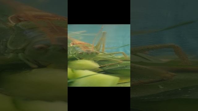 1000000269.mp4