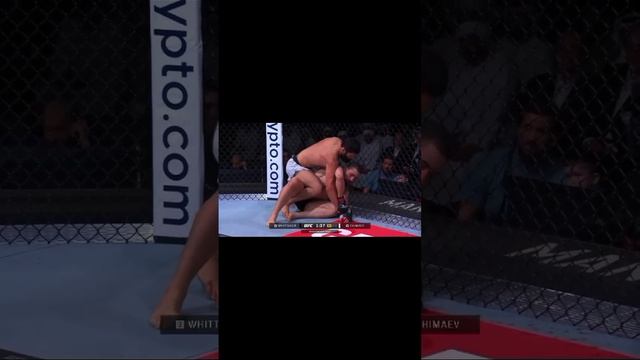 scene_output.mp4