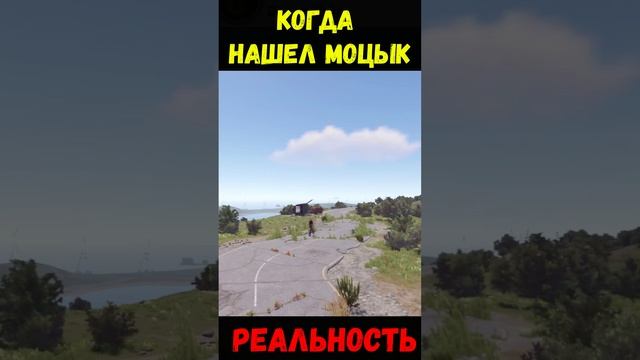 моторастер#rust#раст