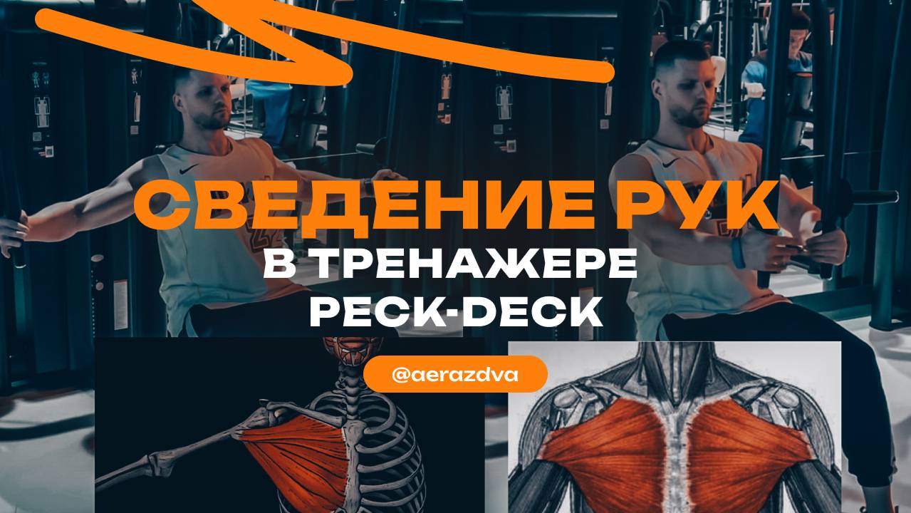 Сведение рук в тренажере ПэкДек (Peck-Deck)