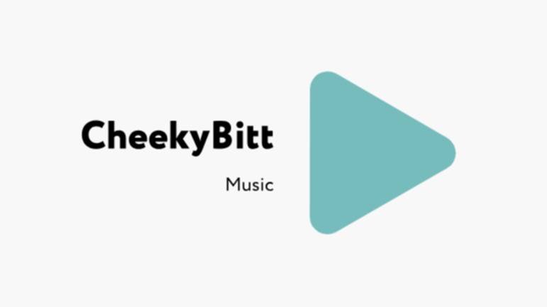 Paul Van Dyk - For An Angel (CheekyBitt remix)