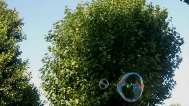 Samsam Bubbleman 'Turnaround' by Lettie 'Everyman'