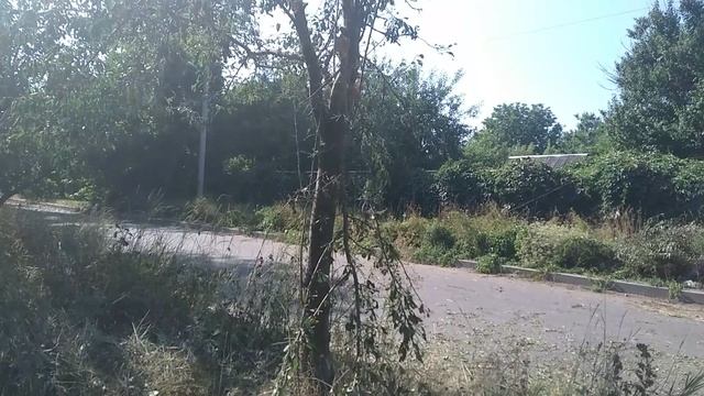 28.07.2022
#сезонконтентаRUTUBE