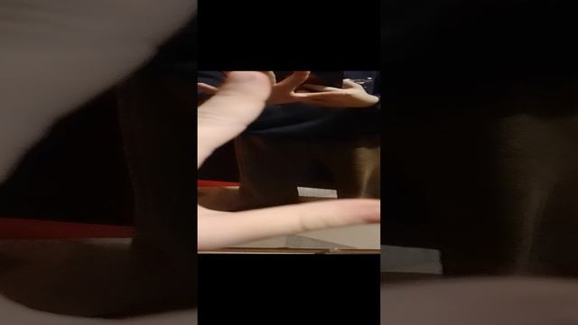 ха гусь😁