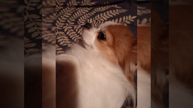 1000007173.mp4