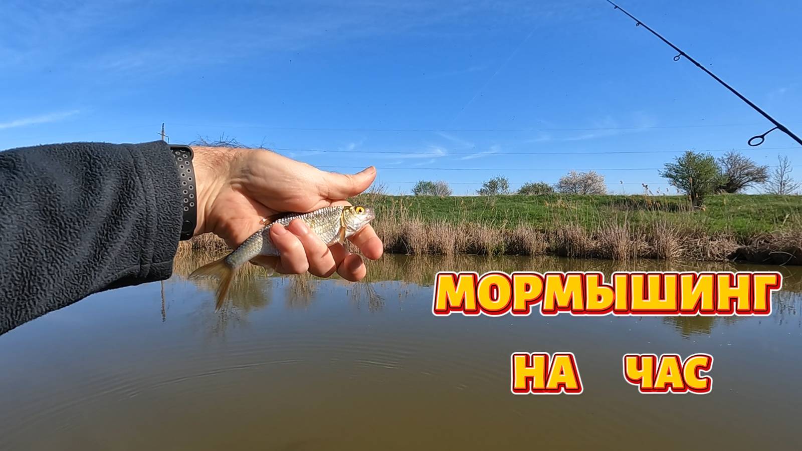 Мормышинг на час.