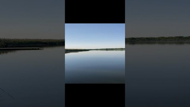 IMG_1229