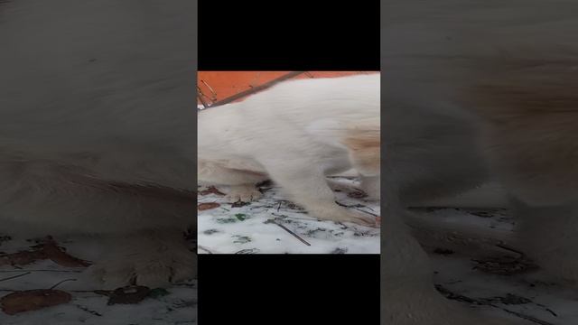 подпишитесь на канале