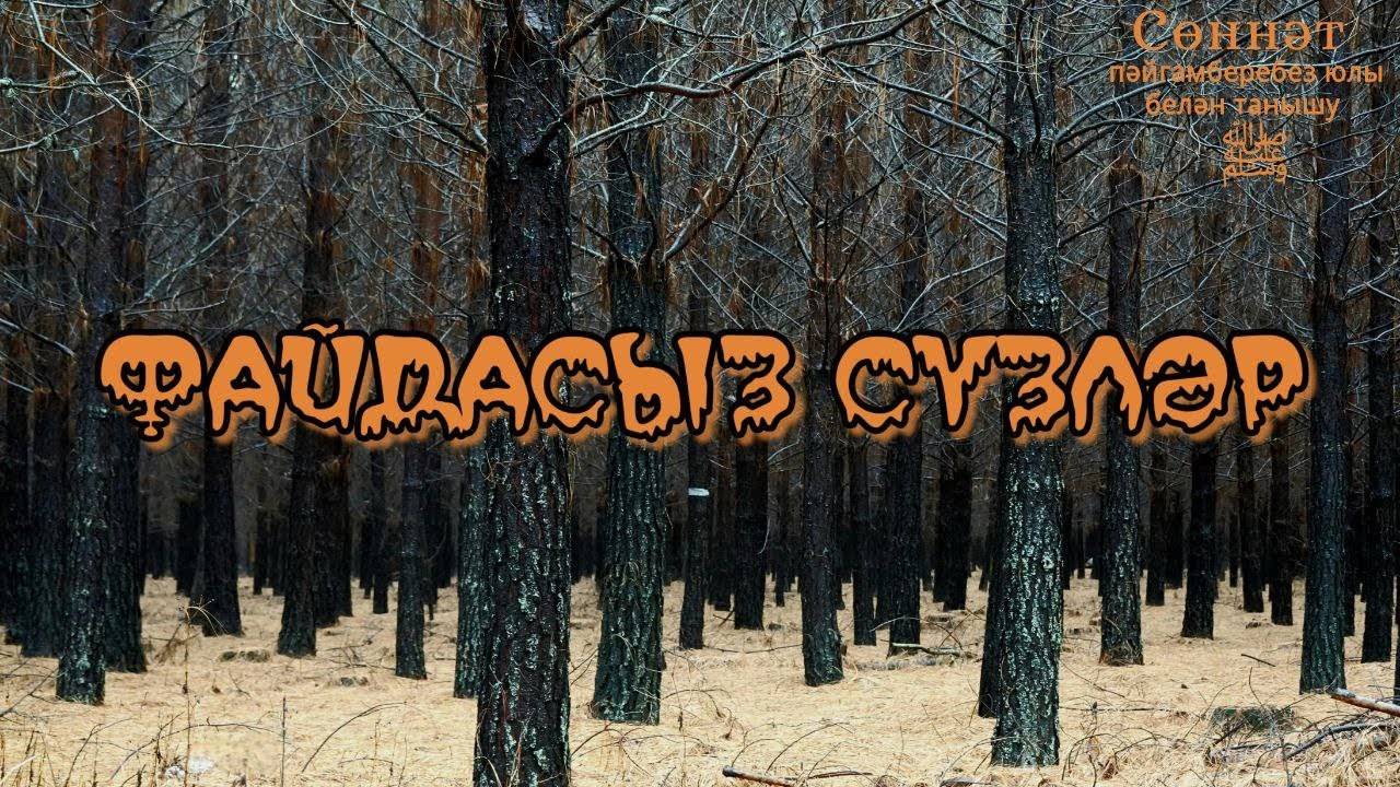 Файдасыз сүзләр | Рамил Гәйнетдинов