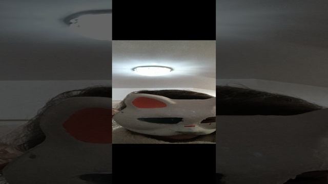 1000011101.mp4