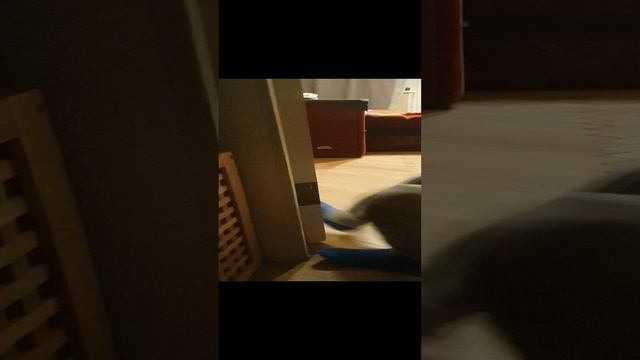 Тогда сломал ногу!