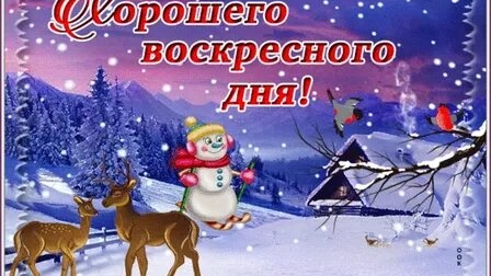 Воскресное зимнее утро!