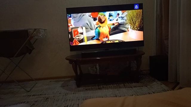 1000000472.mp4