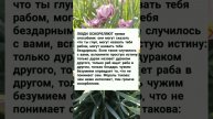 Люди оскорбляют тремя способами. #мариупольсегодня #музыка #мораль #истина