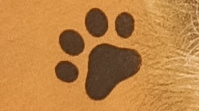 играю в рб с лп