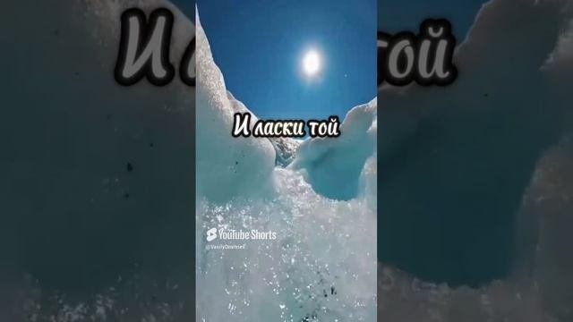 В тебе люблю стихи читает автор В. Дмитриев #любовь #стихи #чувства #поэзия #love #poetry #shorts