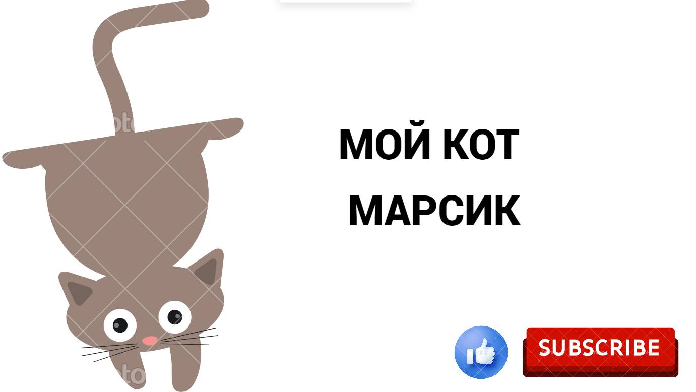 ВИДИО О КОТЕ