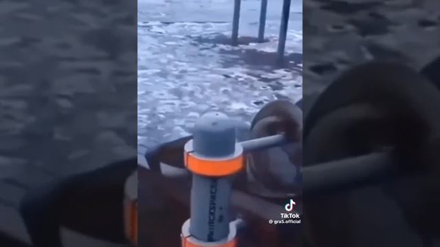 Цитата от волка