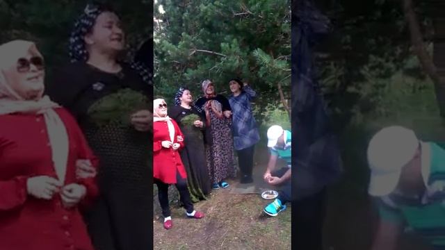 Аварки рулят