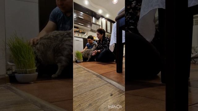 Придумай подпись...))