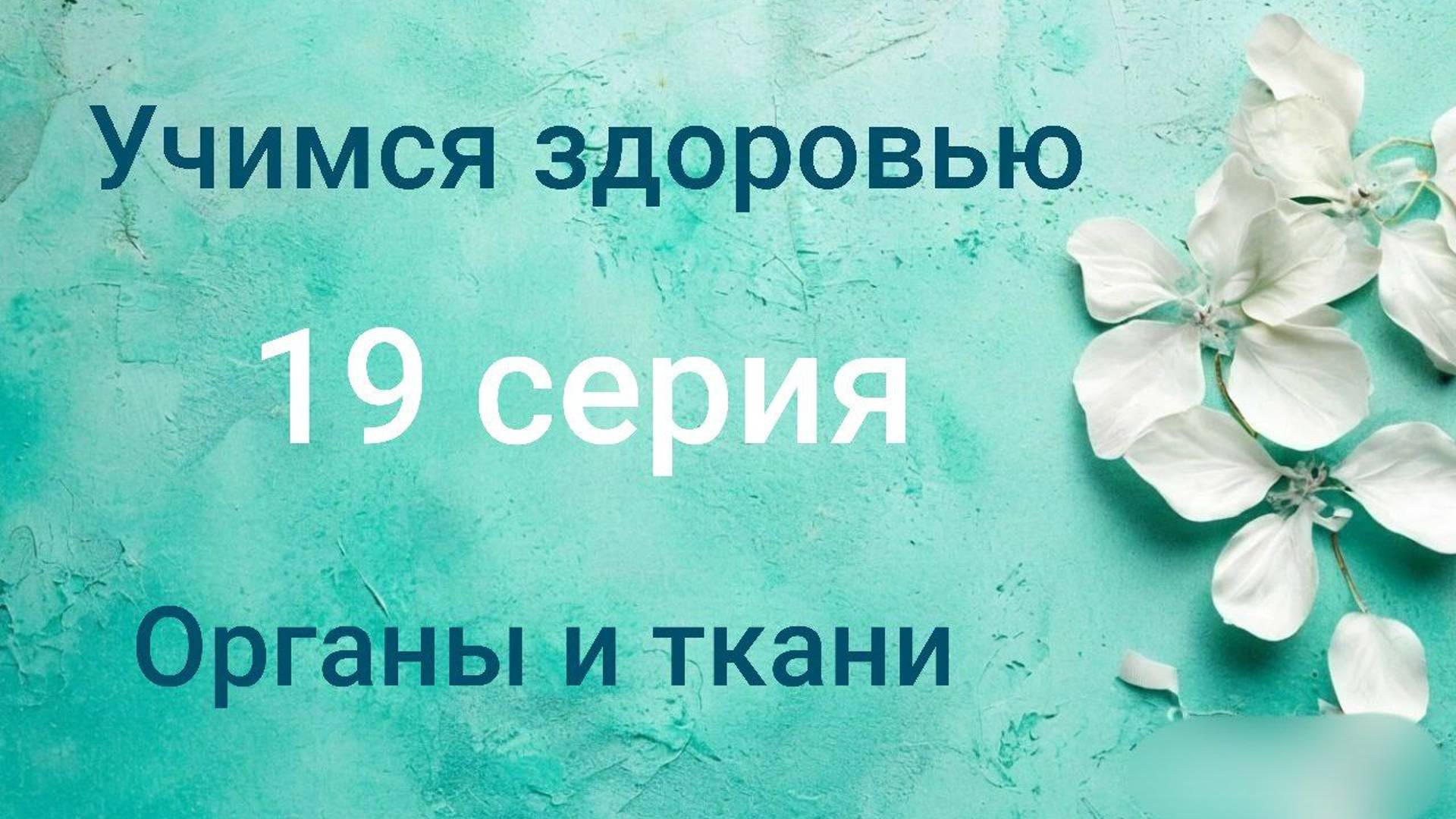 Учимся здоровью. 19 серия. Органы и ткани