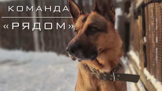 Команда «Рядом».