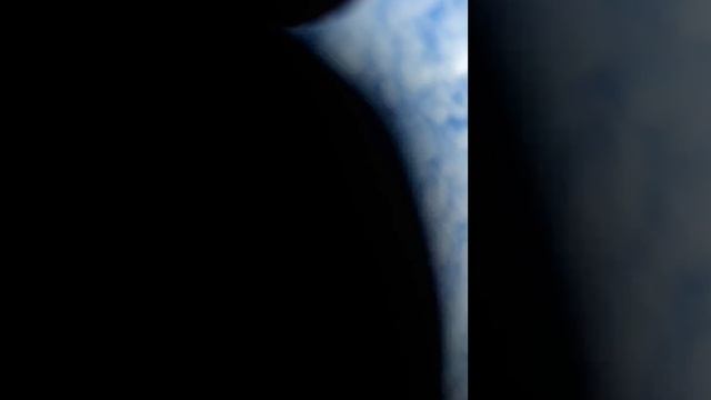 Сазан сентябрь 2024
