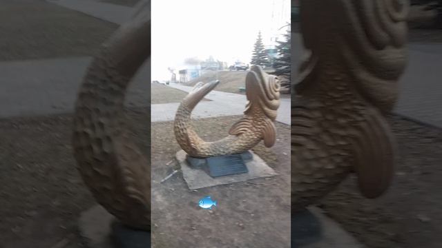 Волга
