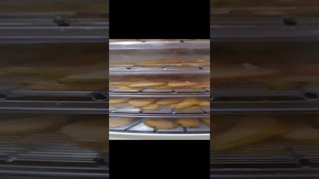 Загрузила всю сушилку грушами🍐
