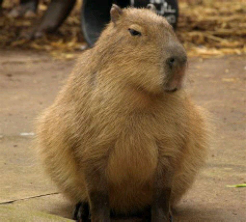 Я КУРЮ