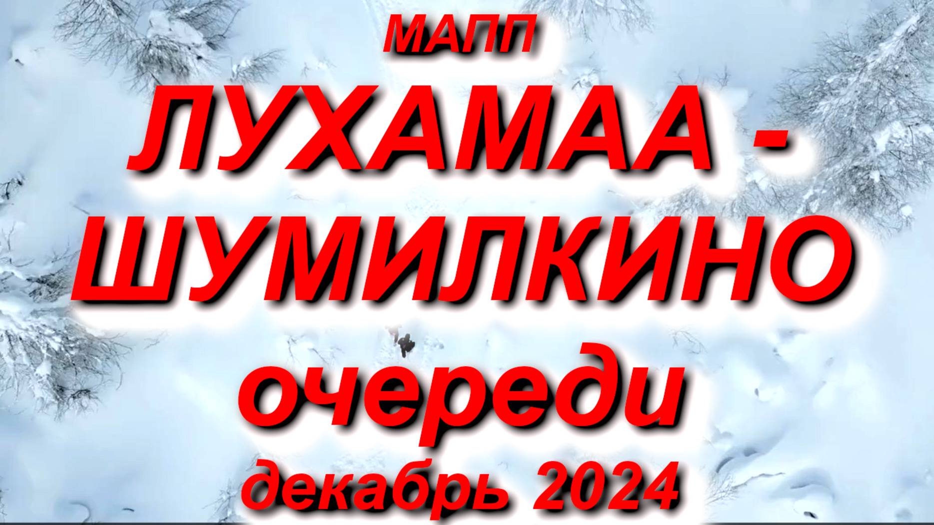 МАПП ЛУХАМАА - ШУМИЛКИНО СУТКИ В ОЧЕРЕДИ,начало декабря 2024 #граница #кпп #мапп #лухамаа #шумилкино