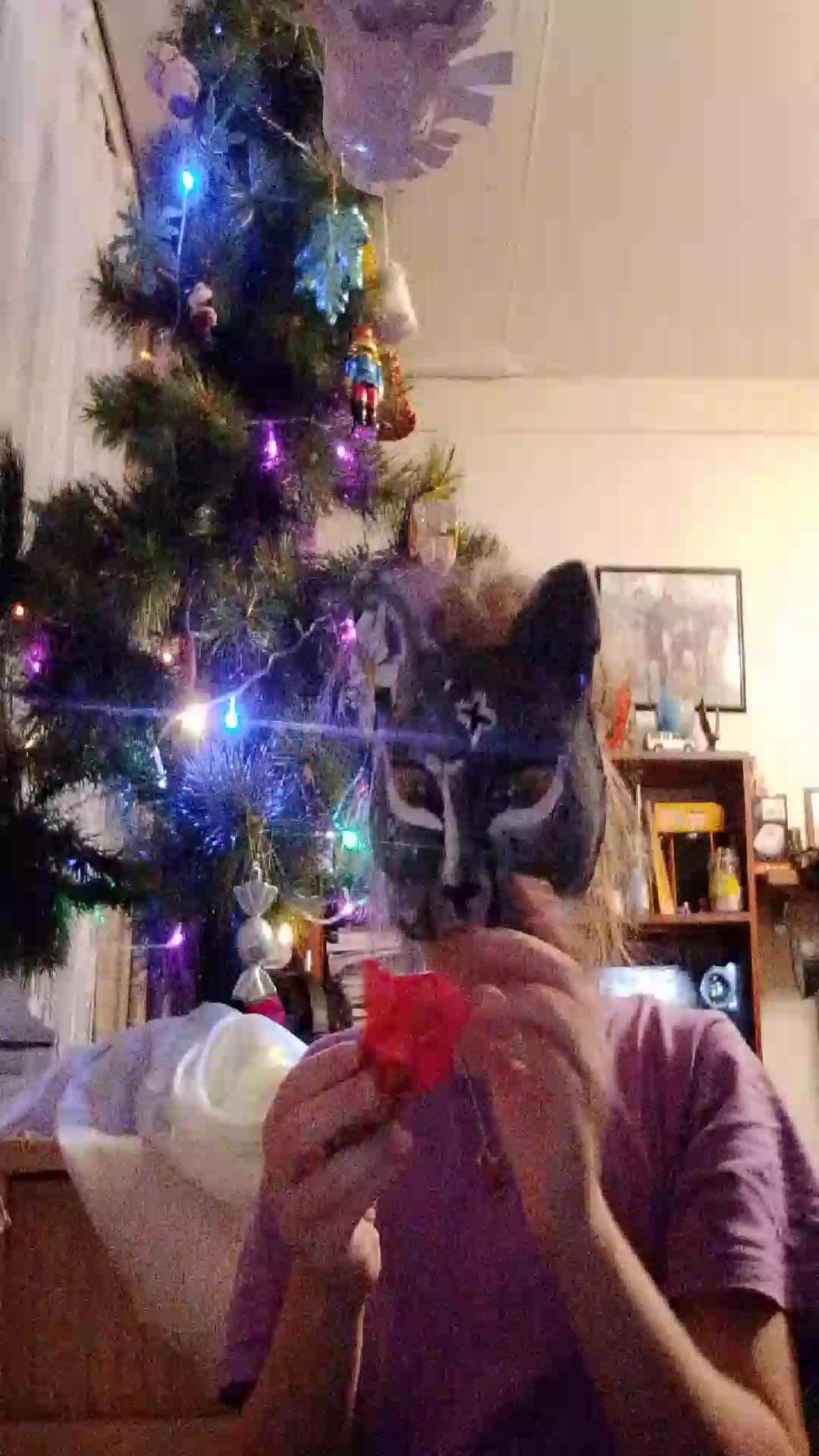 делаю что нибудь