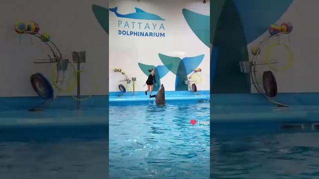 1000035299.mp4