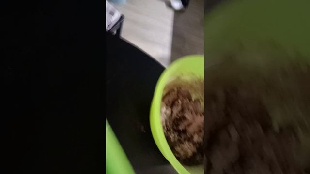 1000002979.mp4