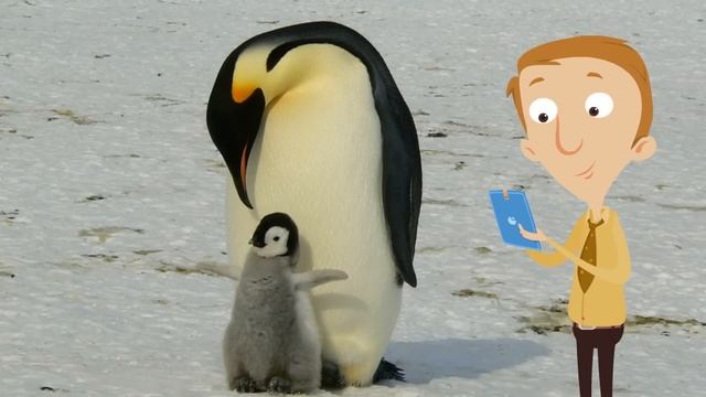Penguin Facts for Kids