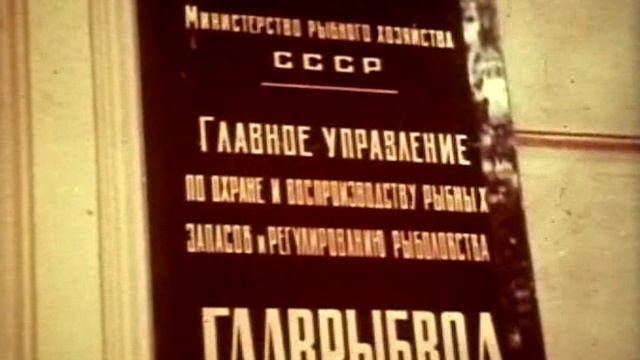 Всесоюзный киножурнал "Фитиль" № 213  1980 г