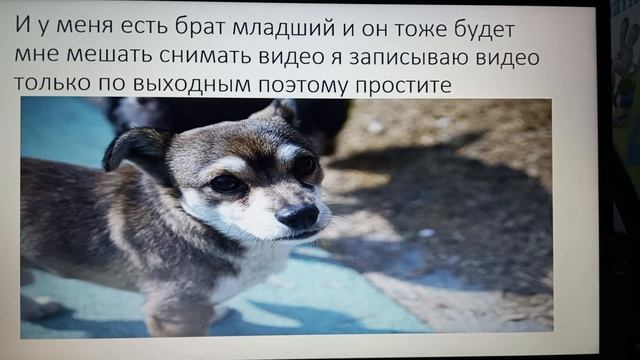 это моё первое видео