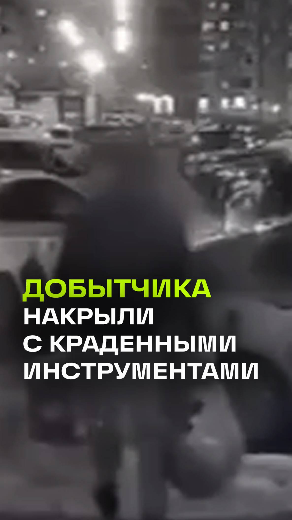 Настоящий добытчик: уволился с работы и украл все необходимое