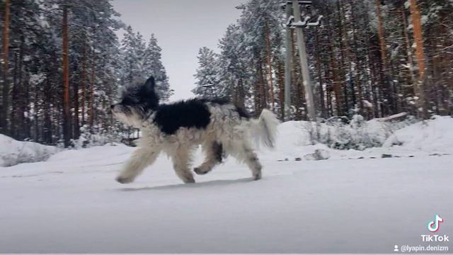 если с другом вышел в путь....