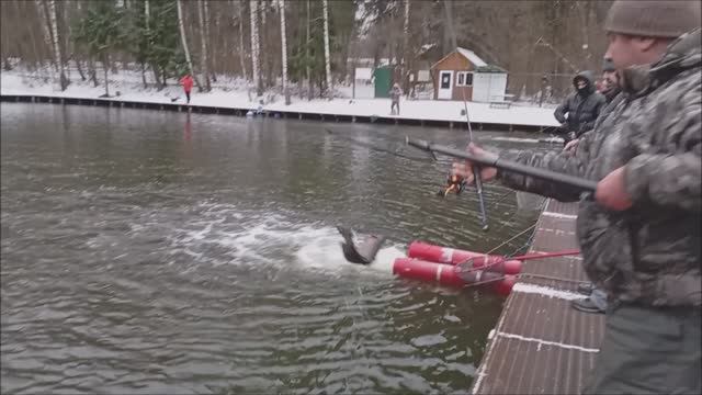 И вновь малина-шартрез. Рыбалка на Спорт-зоне. Клёвое место Лосиный остров.