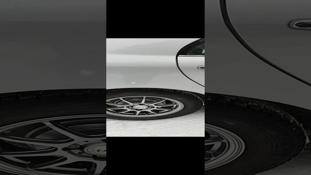 1001988895.mp4