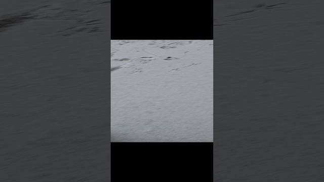 2 сезон 2 серия